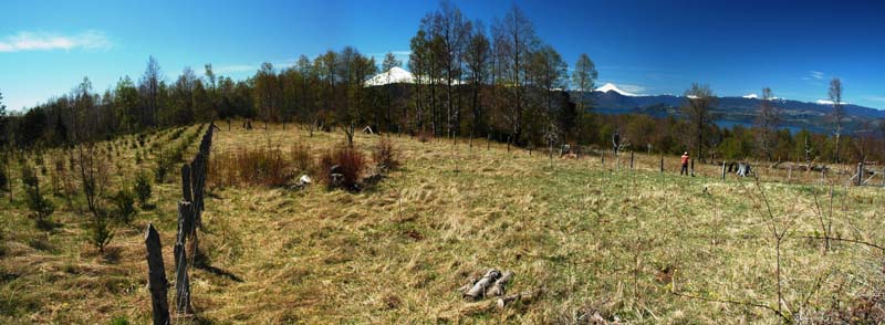 071009 pano 4.3