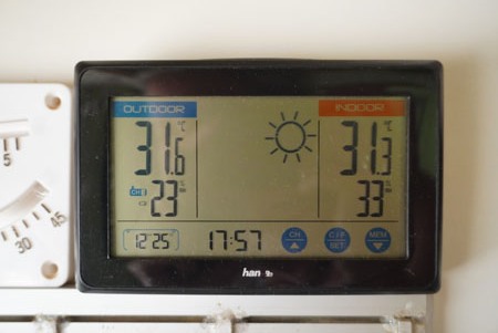 81