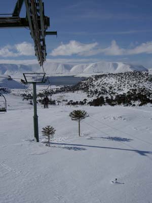 PICT0037