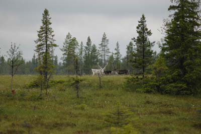 DSC_1370