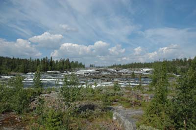 DSC_1545