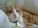 DSC00160
