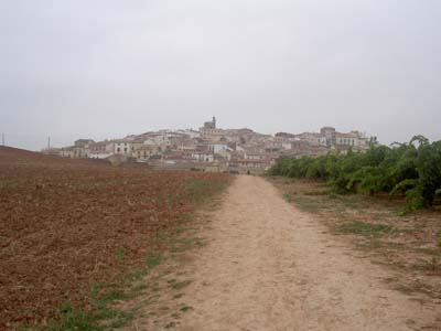 PICT0059
