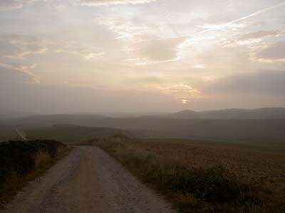 PICT0082