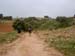 PICT0077