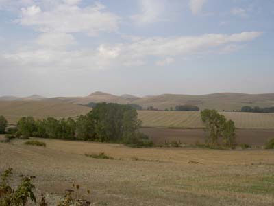 PICT0085