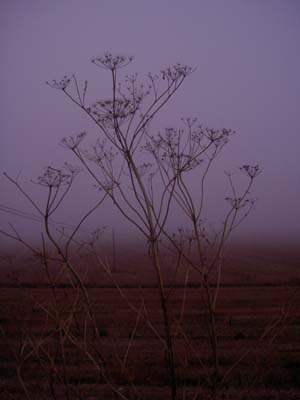 PICT0100