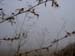 PICT0101