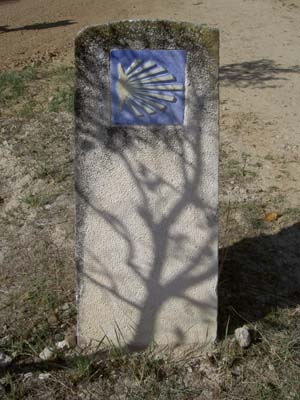 PICT0020