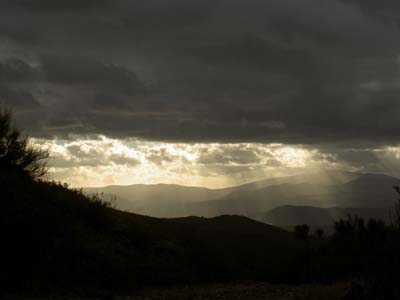 PICT0105
