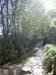 PICT0002