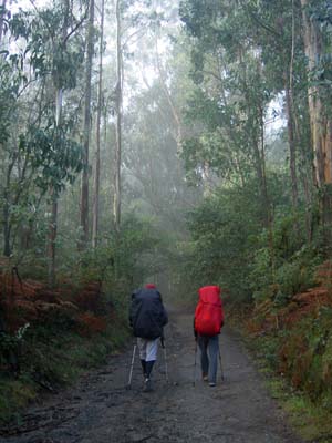 PICT0015