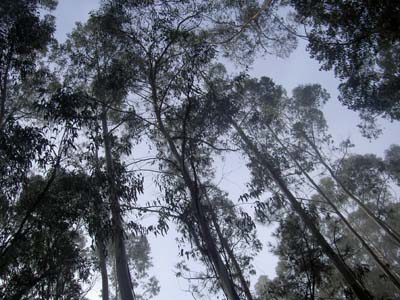 PICT0016