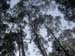 PICT0016
