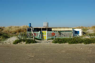 DSC_2207